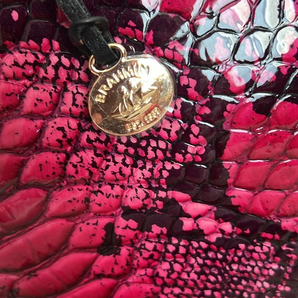 Brahmin Elaine Potion Ziggy - Picture 2 of 10